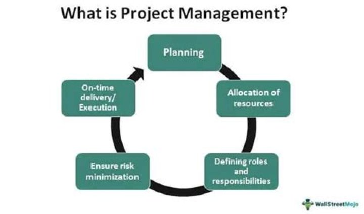 What is mirroring in project management?