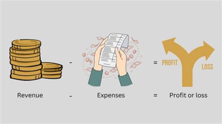 What is money left after all expenses of running a business have been deducted from the income?
