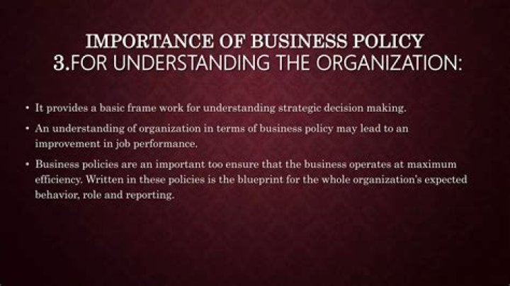 What is nature and importance of business policy?