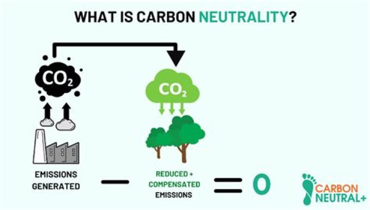 What is neutrality concept in accounting?