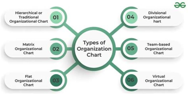 What is organizational chart and its types?