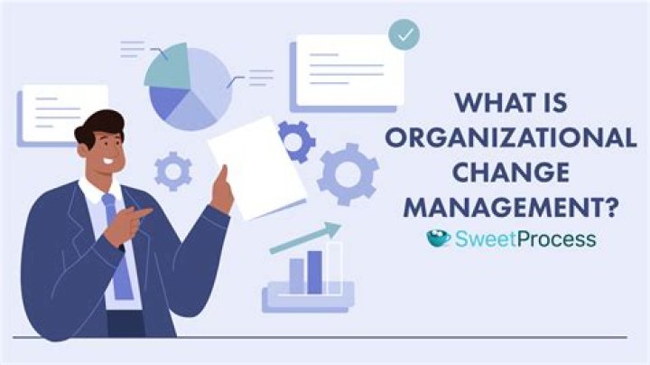 What is organizational management course?