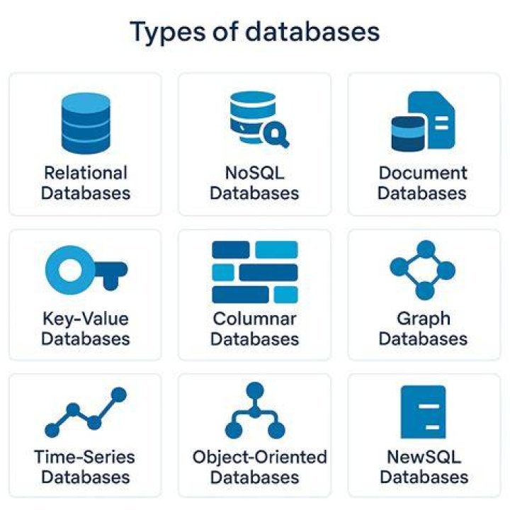 What is part of a database that holds one type of information?