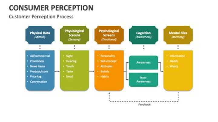 What is perception in consumer Behaviour PDF?