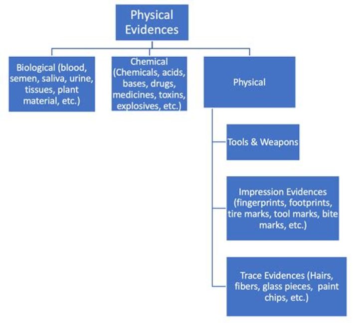 What is physical evidence in management?
