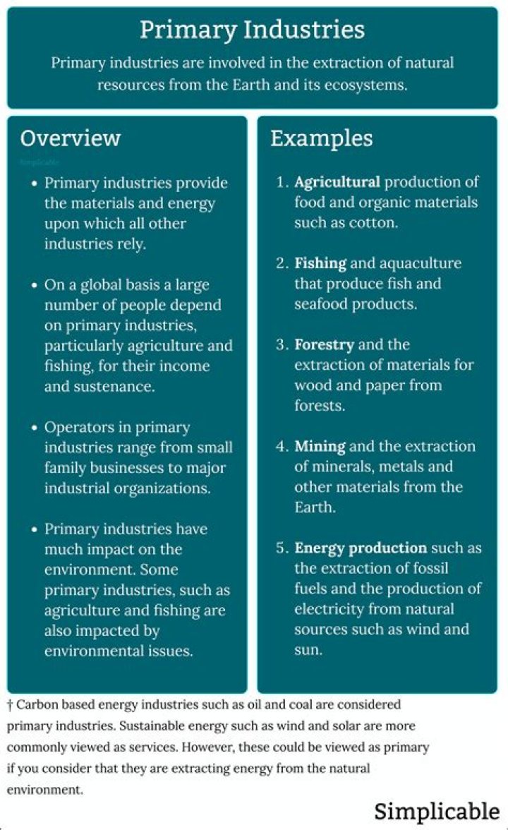 What is primary industry example?