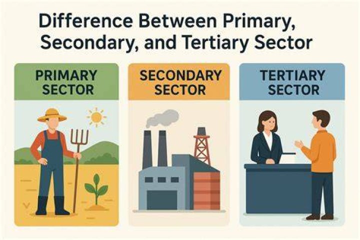What is primary secondary and tertiary sector with example?