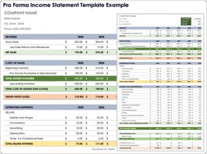 What is pro forma statement of comprehensive income?