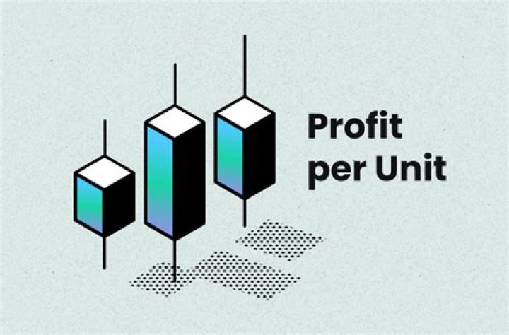 What is profit per unit mean?
