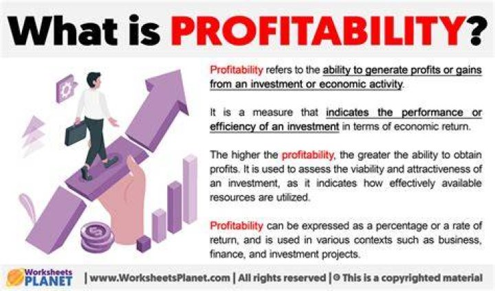 What is profitability of a business?