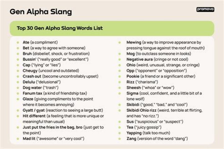 What is Shoop slang for?