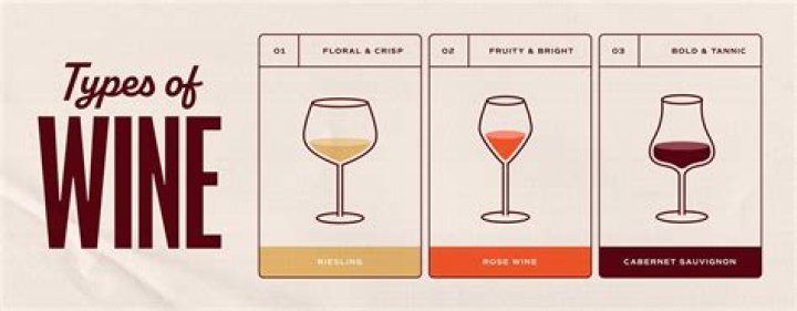 What is study of wine called?
