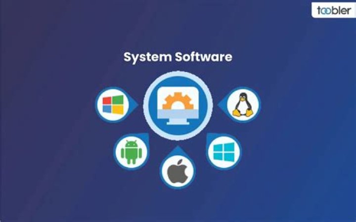 What is Tally software used for?