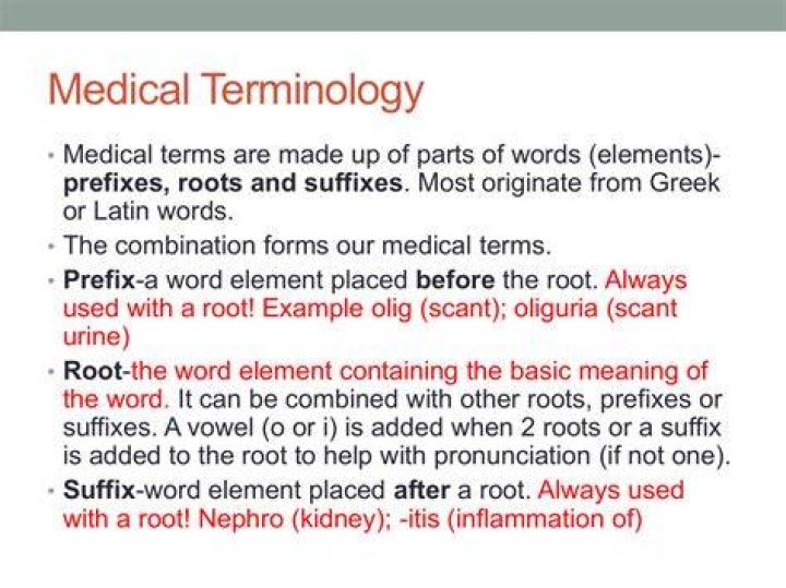 What is terminology example?
