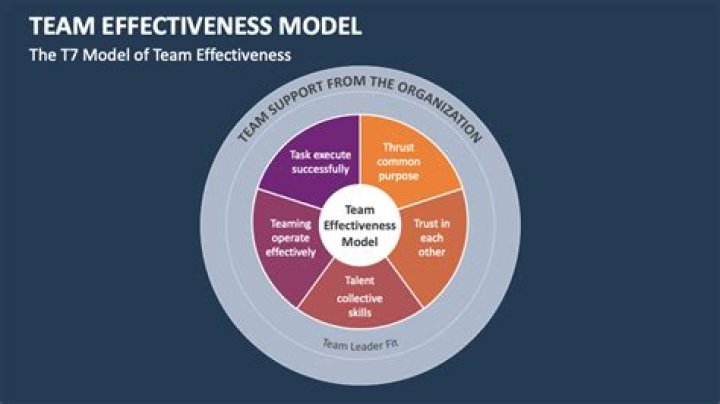 What is the best team effectiveness model?