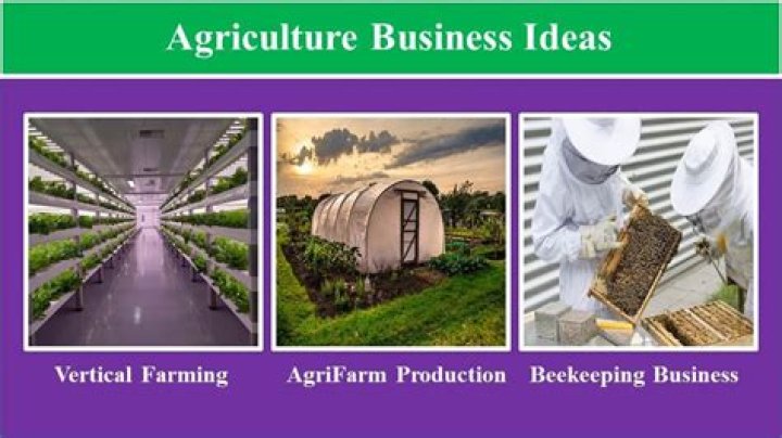 What is the business code for agriculture?