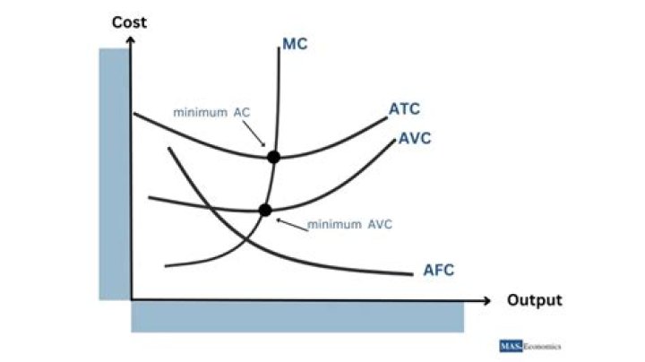 What is the cost function microeconomics?