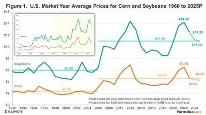 What is the current price of corn and soybeans?