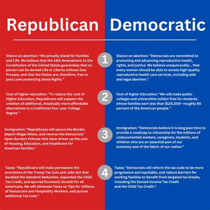 What is the Democratic Party purpose?