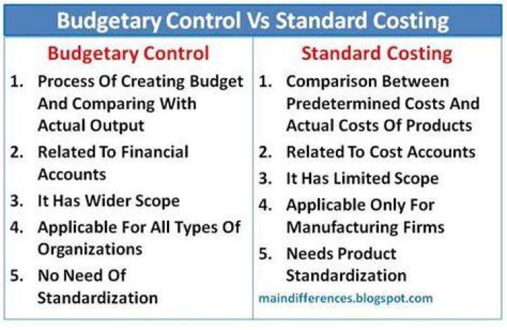 What is the difference between budget and budgetary?