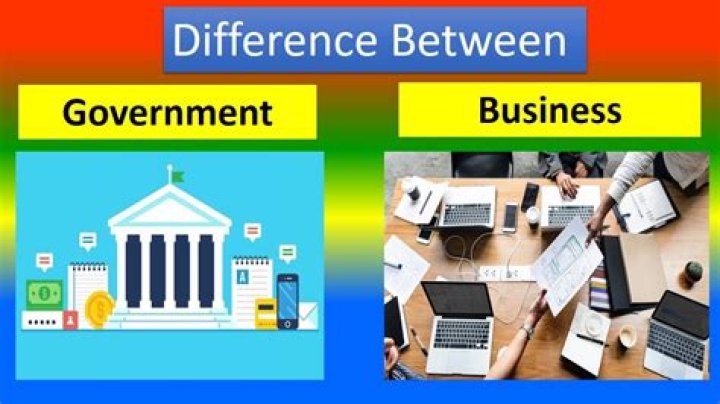 What is the difference between government organization and private organization?