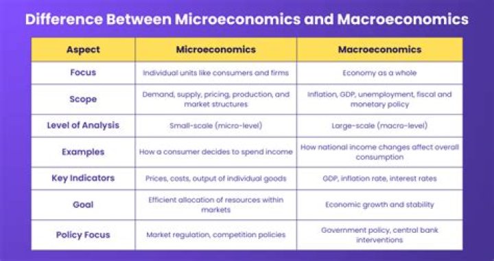 What is the difference between macroeconomics and micro?