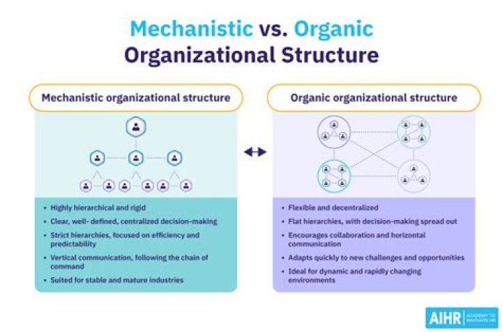 What is the difference between mechanistic and organic structure?