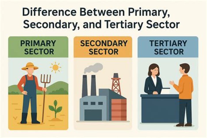 What is the difference between primary secondary and tertiary industries?