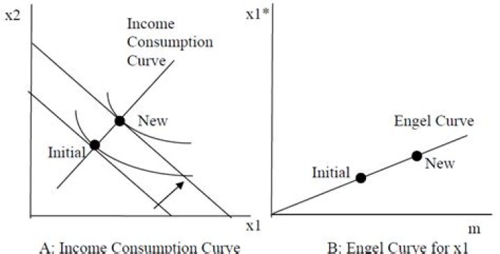 What is the difference between the Engel curve and the income consumption curve?