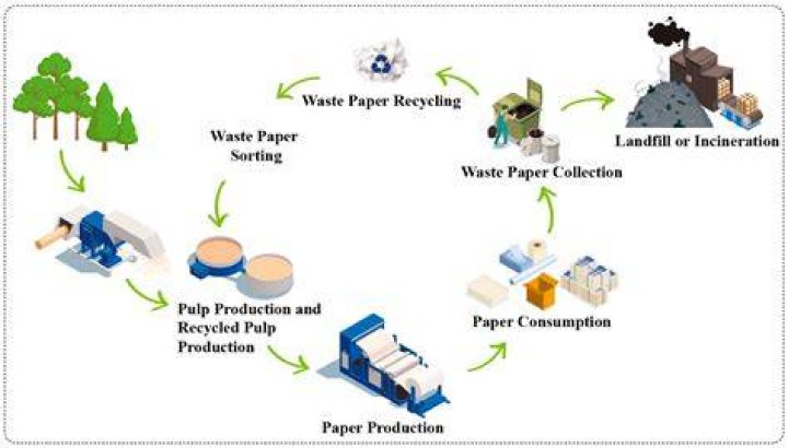 What is the environmental impact of paper production?