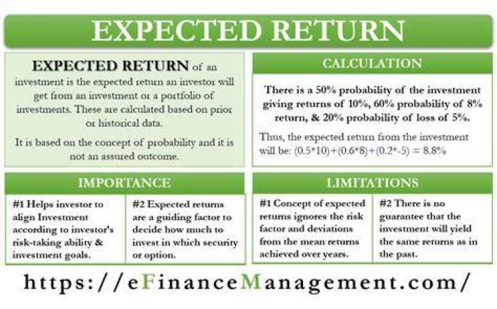 What is the expected return of the stock investment?