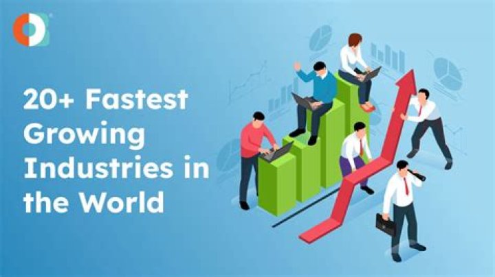 What is the fastest growing business category?