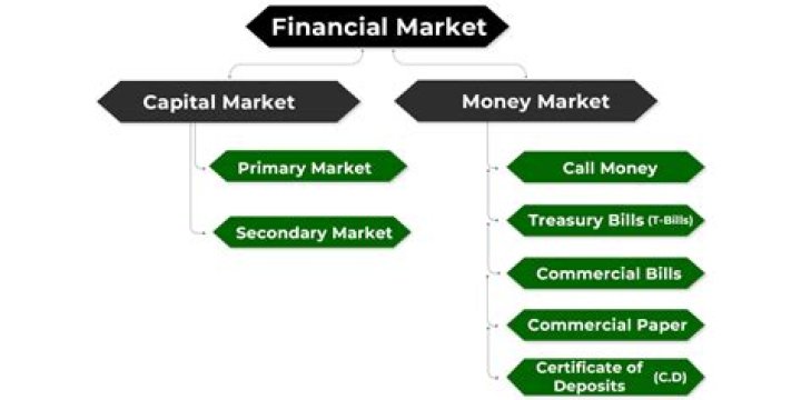 What is the financial market composed of?