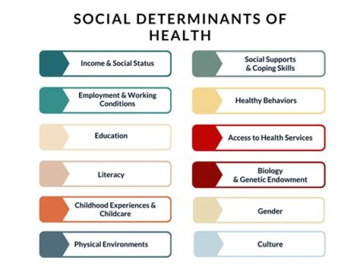 What is the health and prosperity of the members of a community called?