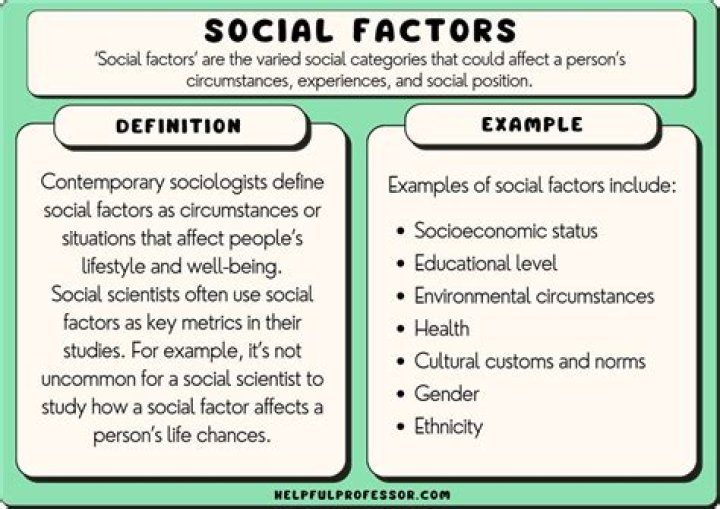 What is the impact of social diversity?