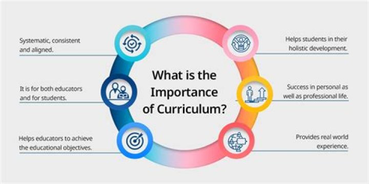 What is the importance of curriculum innovation?