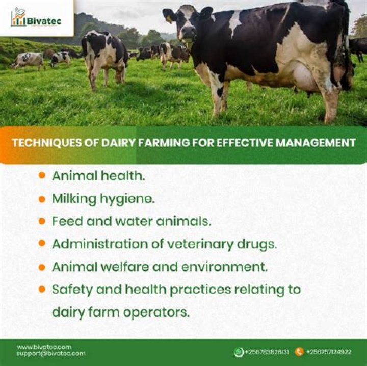 What is the importance of dairy farming Why is it mainly Practised near urban and industrial Centres of the world explain two reasons?