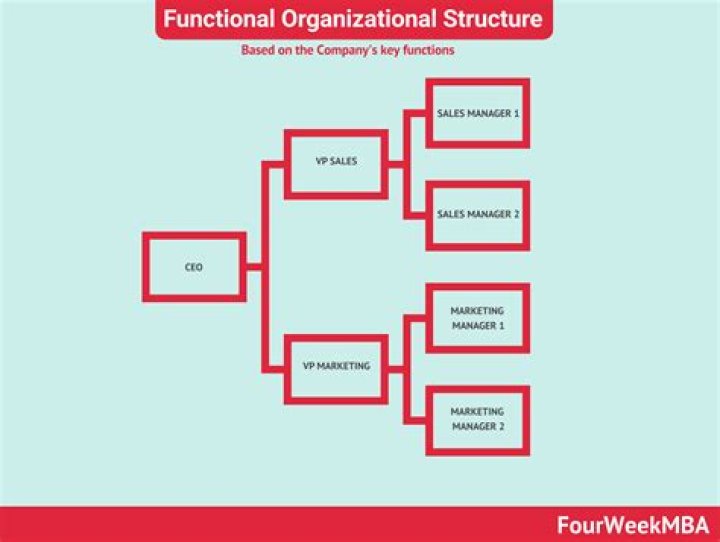 What is the importance of functional organizational structure?