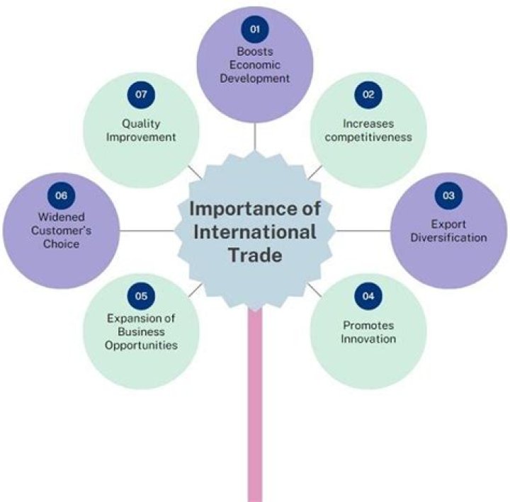 What is the importance of international trade class 10?