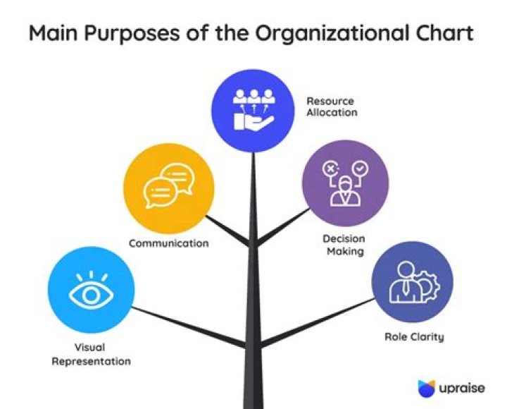 What is the importance of the organization?