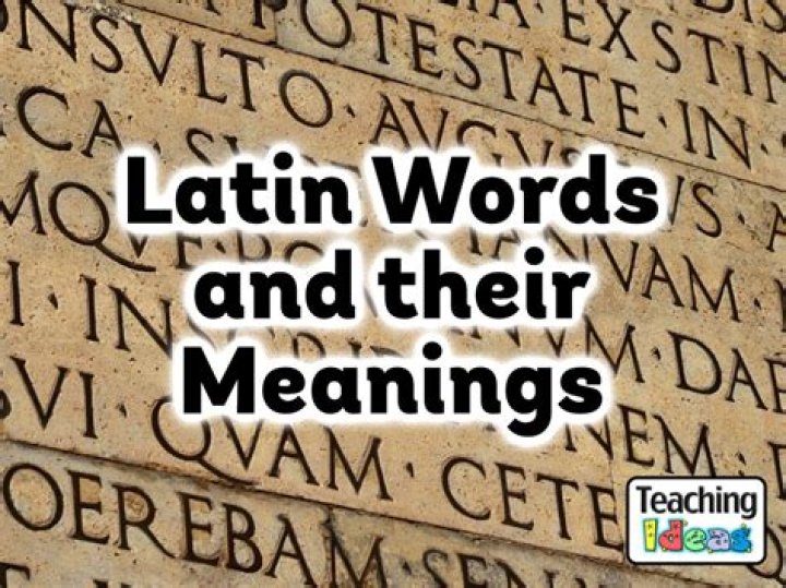 What is the Latin word for multi?