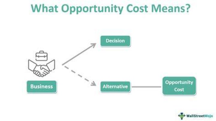 What is the meaning of alternative cost?