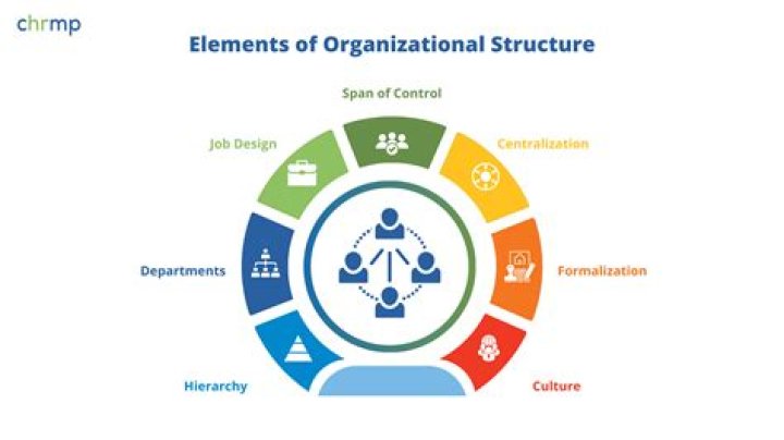 What is the meaning of business Organisation write its characteristics?