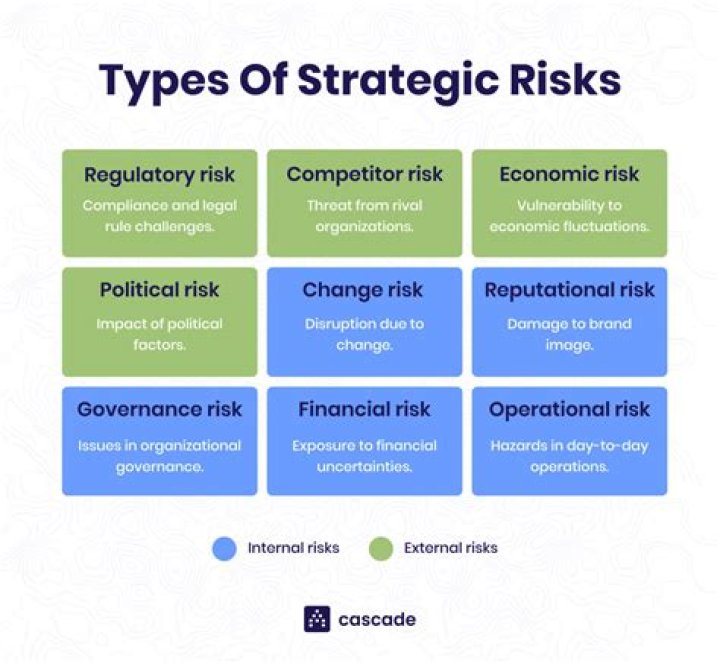 What is the meaning of business risk with example?