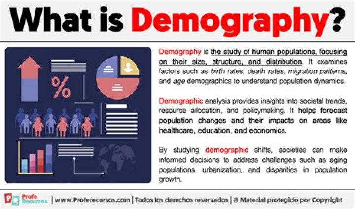 What is the meaning of demographic group?