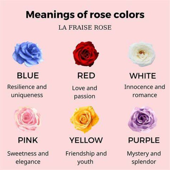 What is the meaning of Grose?