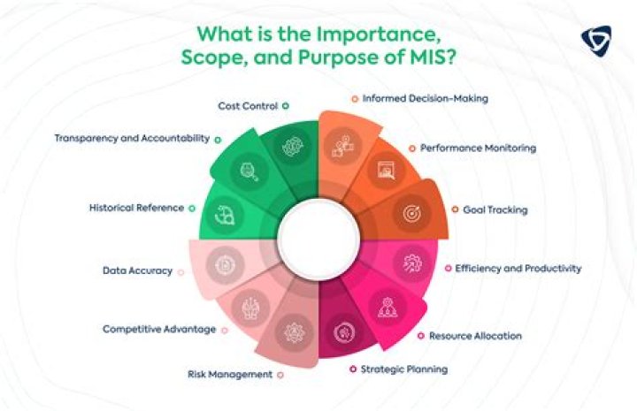 What is the meaning of MIS in Excel?