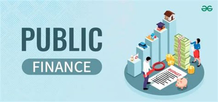 What is the meaning of public finance?