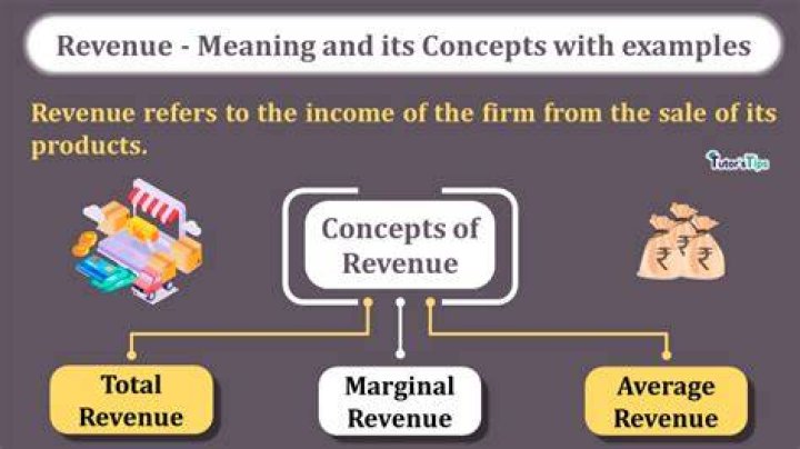 What is the meaning of revenue license?