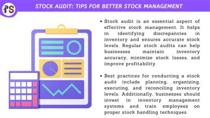 What is the meaning of stock audit?
